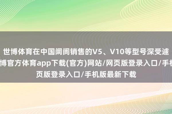 世博体育在中国阛阓销售的V5、V10等型号深受遽然者喜爱-世博官方体育app下载(官方)网站/网页版登录入口/手机版最新下载