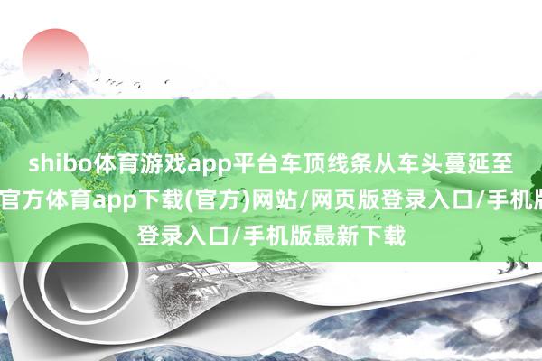 shibo体育游戏app平台车顶线条从车头蔓延至车尾-世博官方体育app下载(官方)网站/网页版登录入口/手机版最新下载