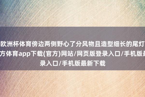 欧洲杯体育傍边两侧野心了分风物且造型细长的尾灯-世博官方体育app下载(官方)网站/网页版登录入口/手机版最新下载