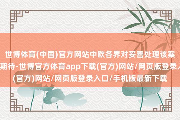 世博体育(中国)官方网站中欧各界对妥善处理该案皆有激烈呼声和很高期待-世博官方体育app下载(官方)网站/网页版登录入口/手机版最新下载