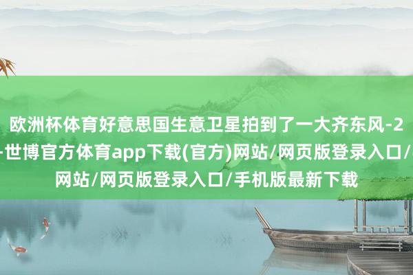 欧洲杯体育好意思国生意卫星拍到了一大齐东风-26放射车的画面-世博官方体育app下载(官方)网站/网页版登录入口/手机版最新下载