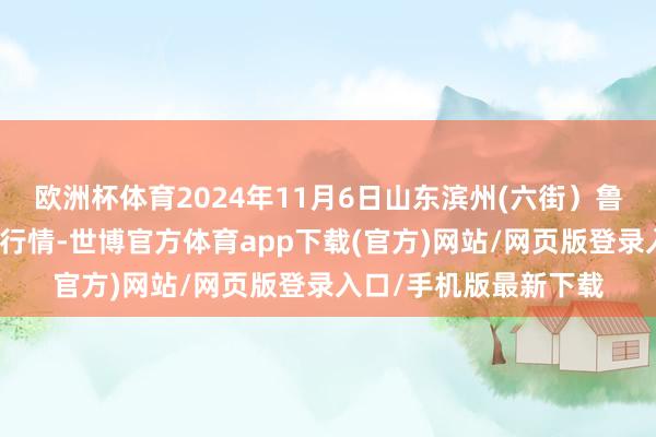 欧洲杯体育2024年11月6日山东滨州(六街）鲁北蔬菜批发阛阓价钱行情-世博官方体育app下载(官方)网站/网页版登录入口/手机版最新下载