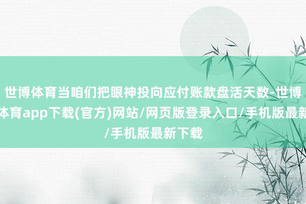 世博体育当咱们把眼神投向应付账款盘活天数-世博官方体育app下载(官方)网站/网页版登录入口/手机版最新下载